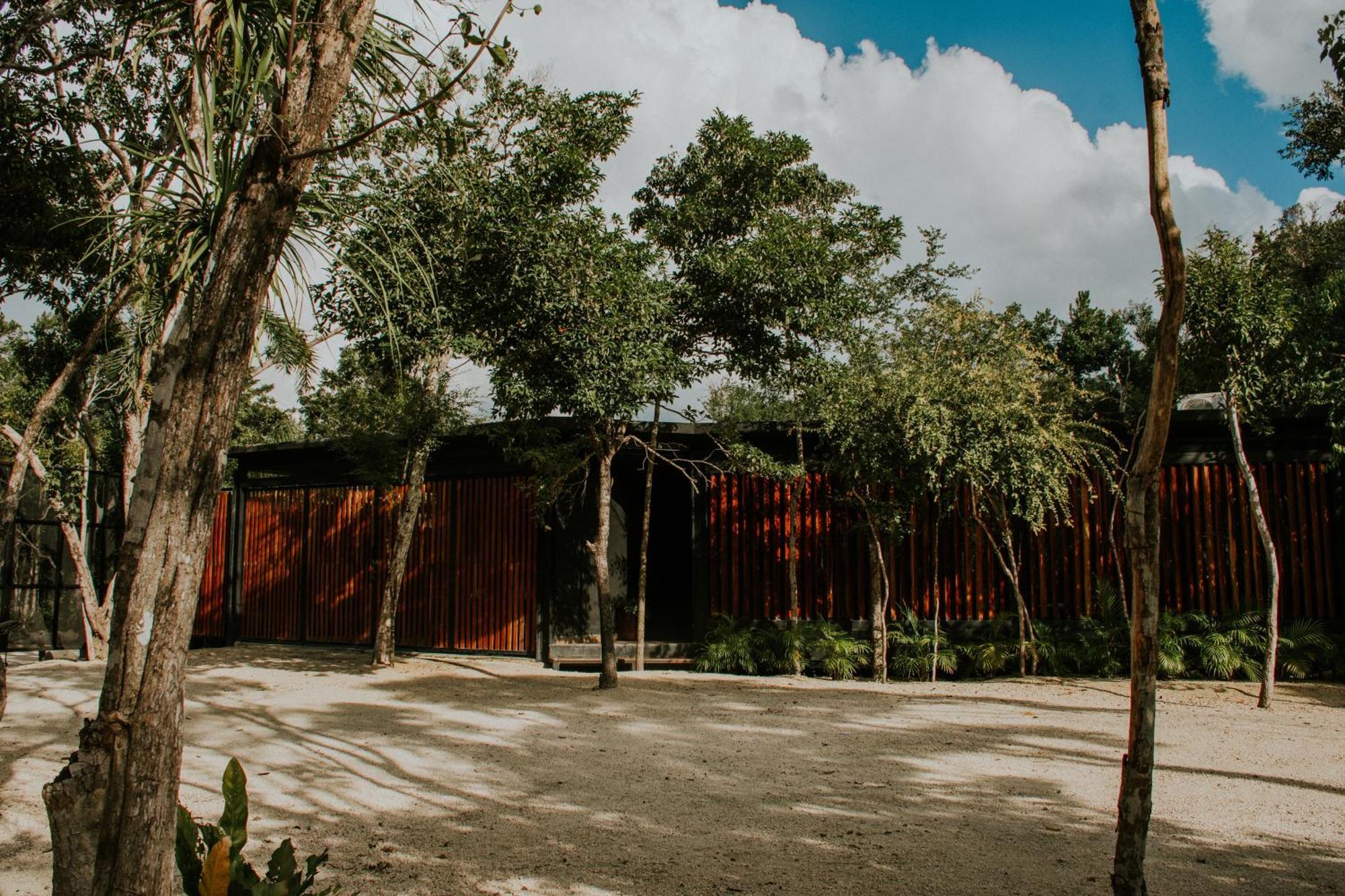 K Naj Community Cenote Residence Balcheil Exterior foto